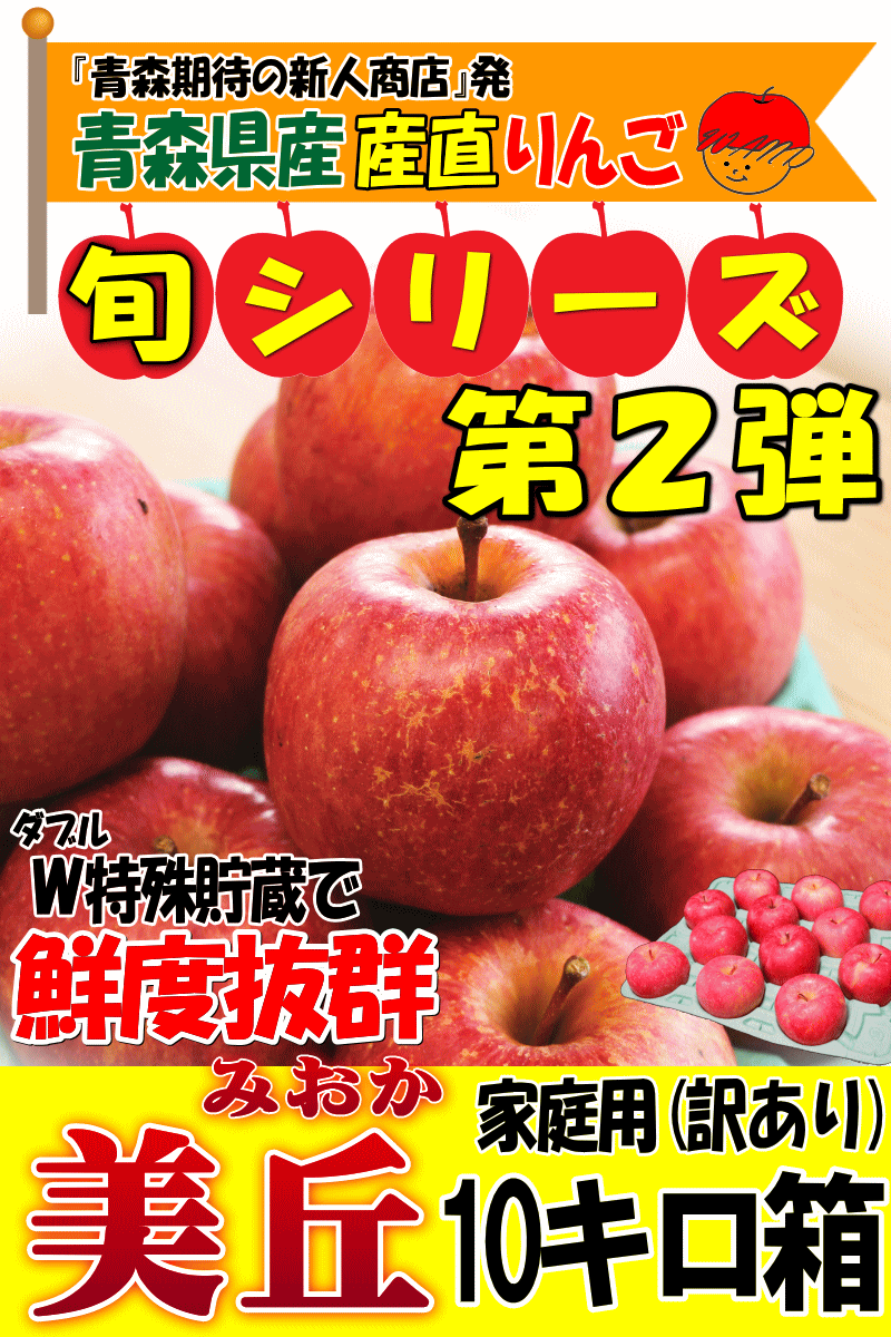 クーポンで10％引き！あすつく 青森 りんご 10kg箱 訳あり/家庭用 美丘 クール便 送料無料 りんご 10キロ箱★美丘 家訳 10kg箱