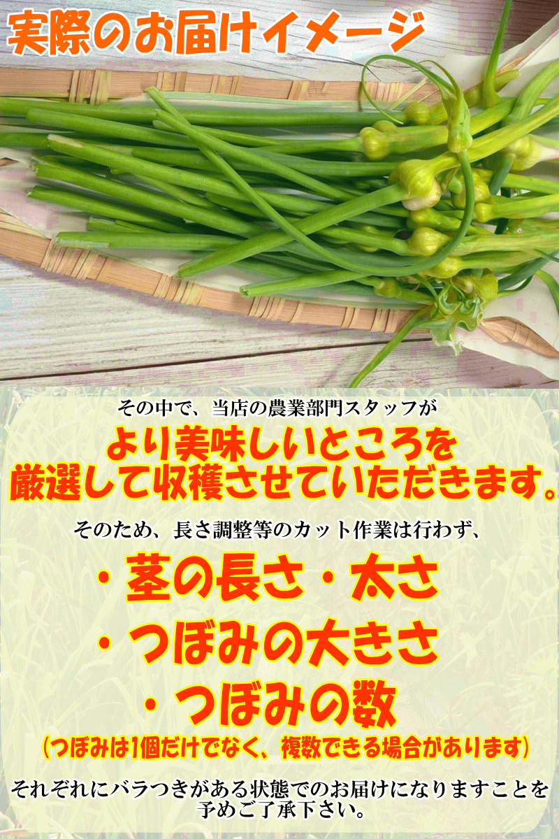 お届けイメージ