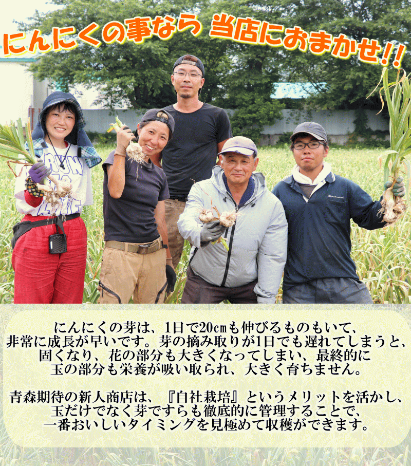 当店におまかせ