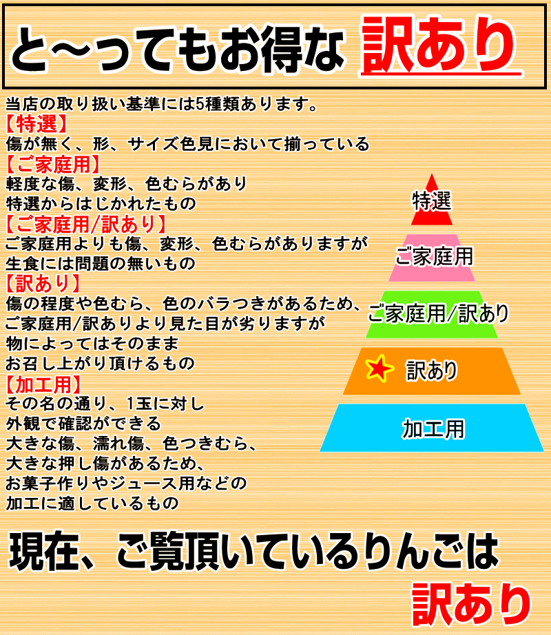 家庭用訳ありとは