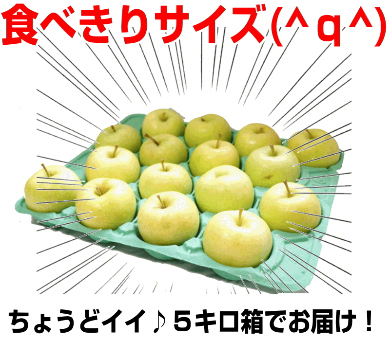たっぷり5キロ箱