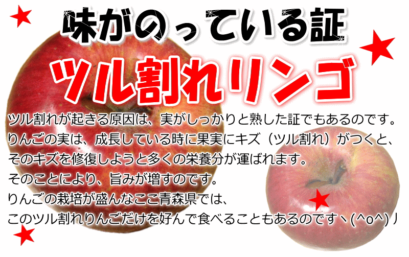 あすつく 青森 りんご 3kg箱 訳あり/家庭用 サンふじ りんご 訳あり