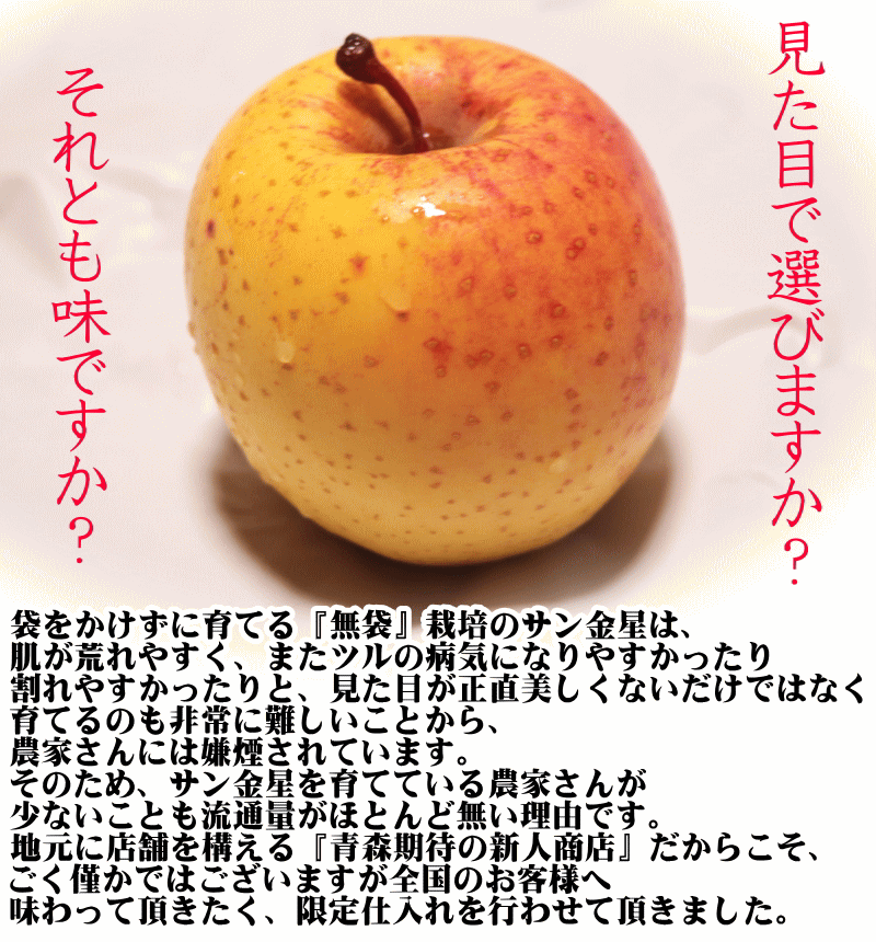 見た目について