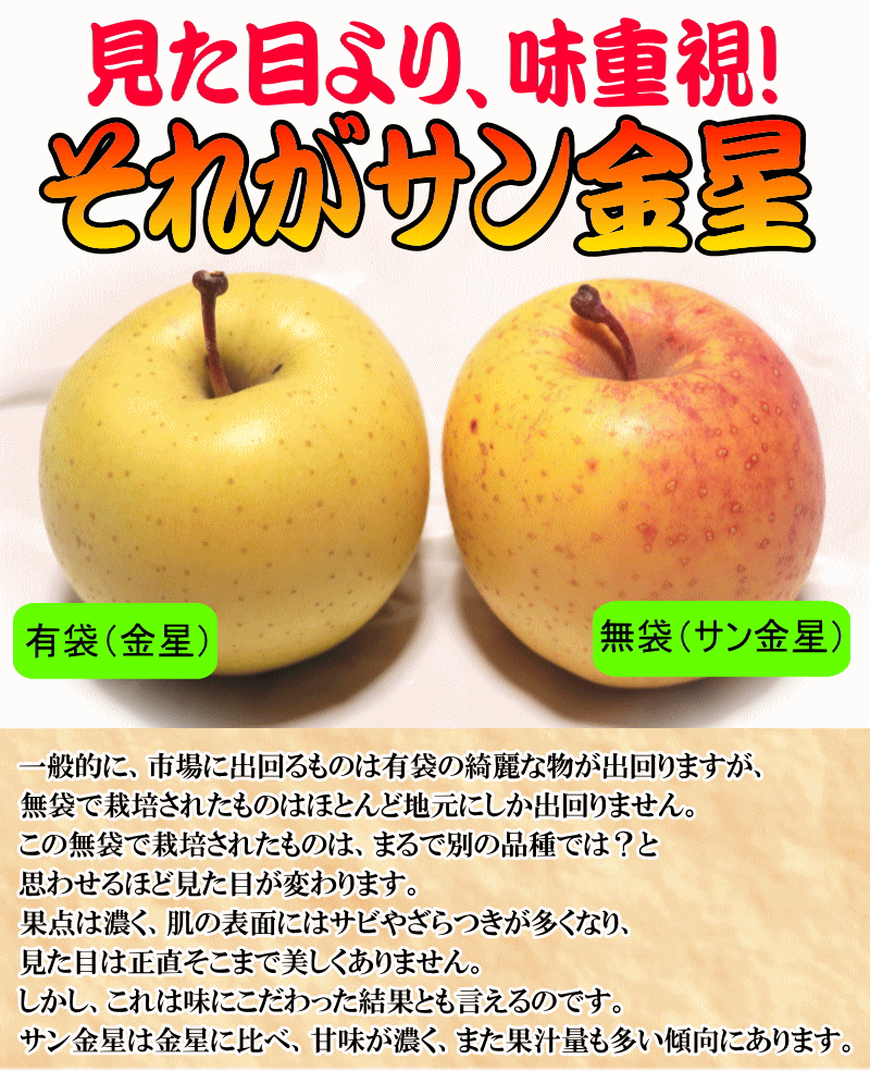 見た目について