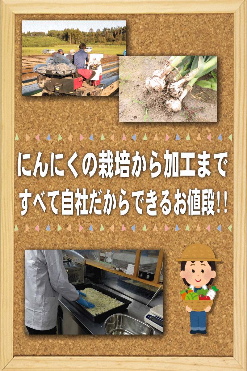 業界最安値挑戦