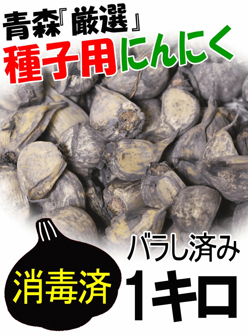 希少】種用にんにく 青森 にんにく 1kg (約125粒前後) 種子消毒済み