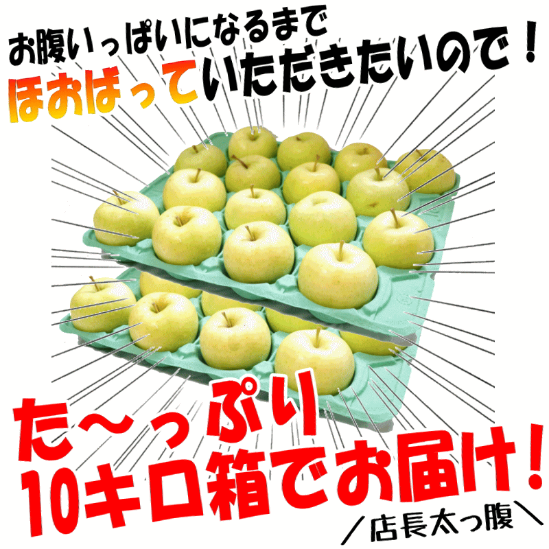 たっぷり10キロ箱