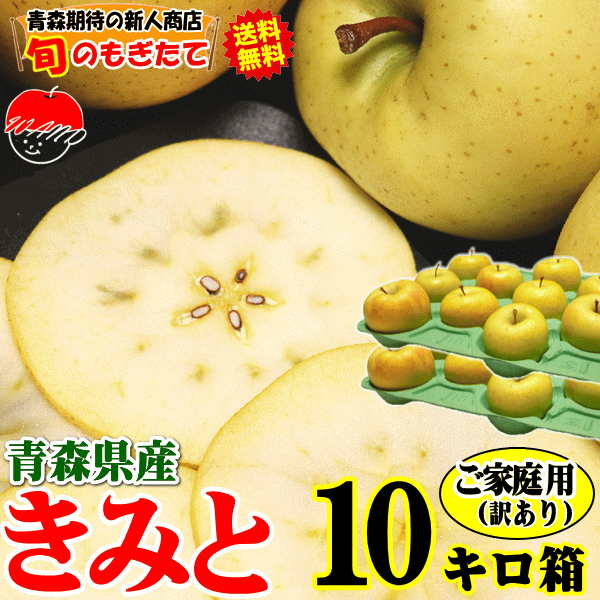 青森 りんご 10kg箱 送料無料 あいかの香り 訳あり/家庭用