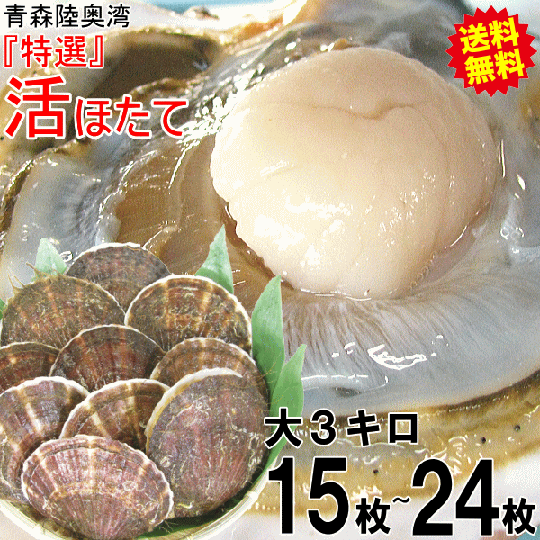 獲れたての美味しさをご家庭にお届け！青森県産ボイルホタテ 楽天市場】青森県 陸奥湾産 大粒ベビーホタテ(ボイル済/解凍後
