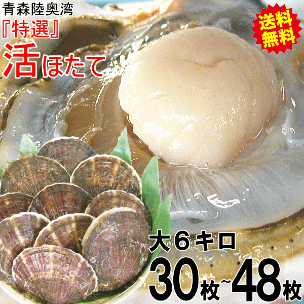 陸奥湾特選活ほたて
