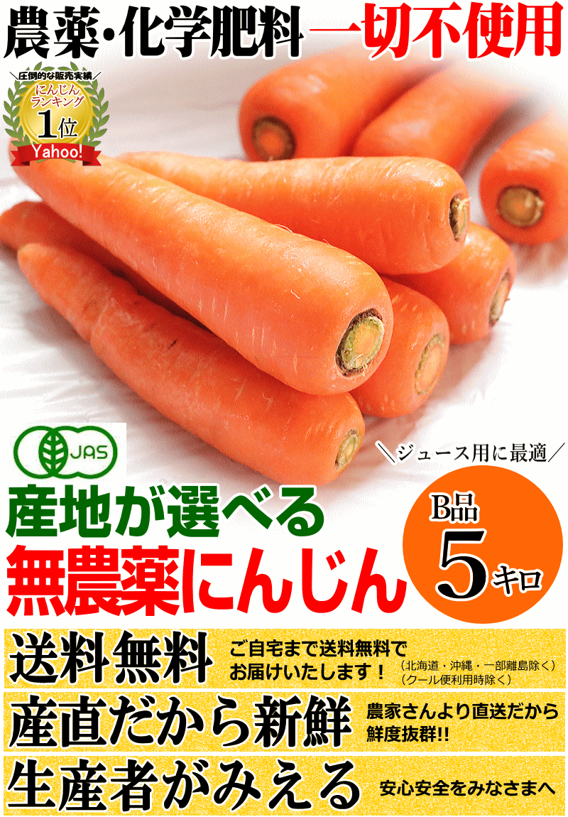 無農薬にんじん5キロ 送料無料