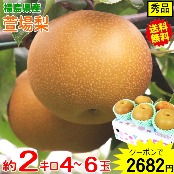 ⭕好評　宮崎県産　おじいちゃんの梨　サイズ形混合　箱込み約10キロ 梨10のおすすめ人気商品一覧 通販 - Yahoo!ショッピング