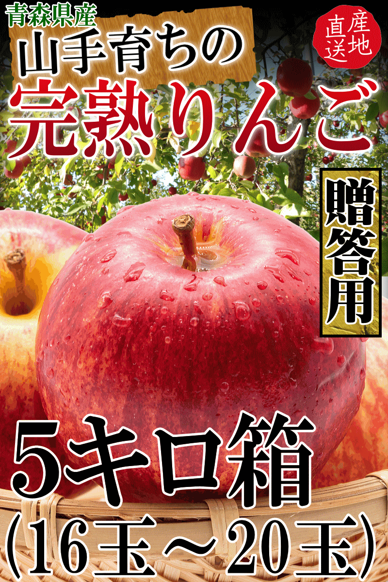 青森 りんご 贈答用 ふじ 5kg箱 送料無料【各種熨斗対応】青森県産 りんご ギフト 贈り物 5kg箱  スターキングデリシャス/サンふじ/王林/5キロ箱