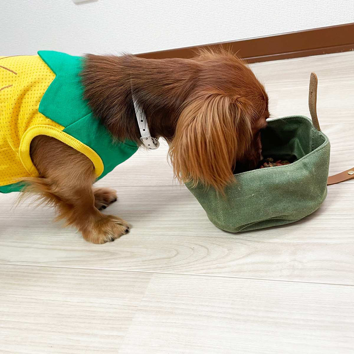 フードボウル 折りたたみ おしゃれ ペット食器 餌入れ 犬 散歩 ネコ