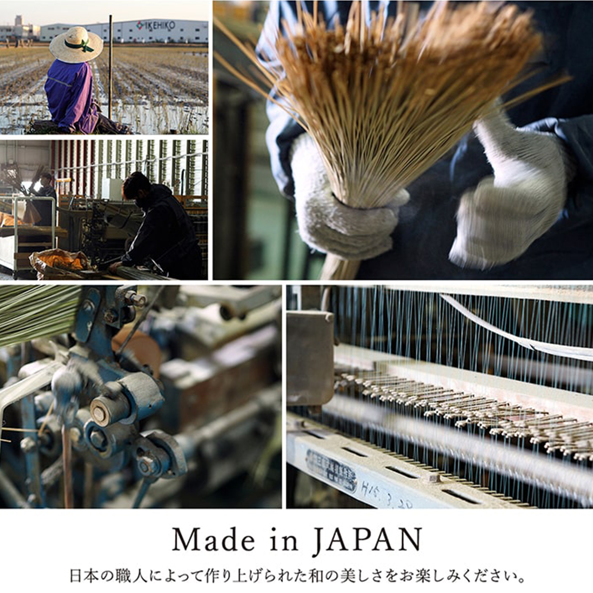 日本製 井草ラグ 夏用 正方形 【涼感冷感】 おしゃれ かわいい 北欧 モダン ラグ カーペット リビング インテリア | イケヒコ | 04