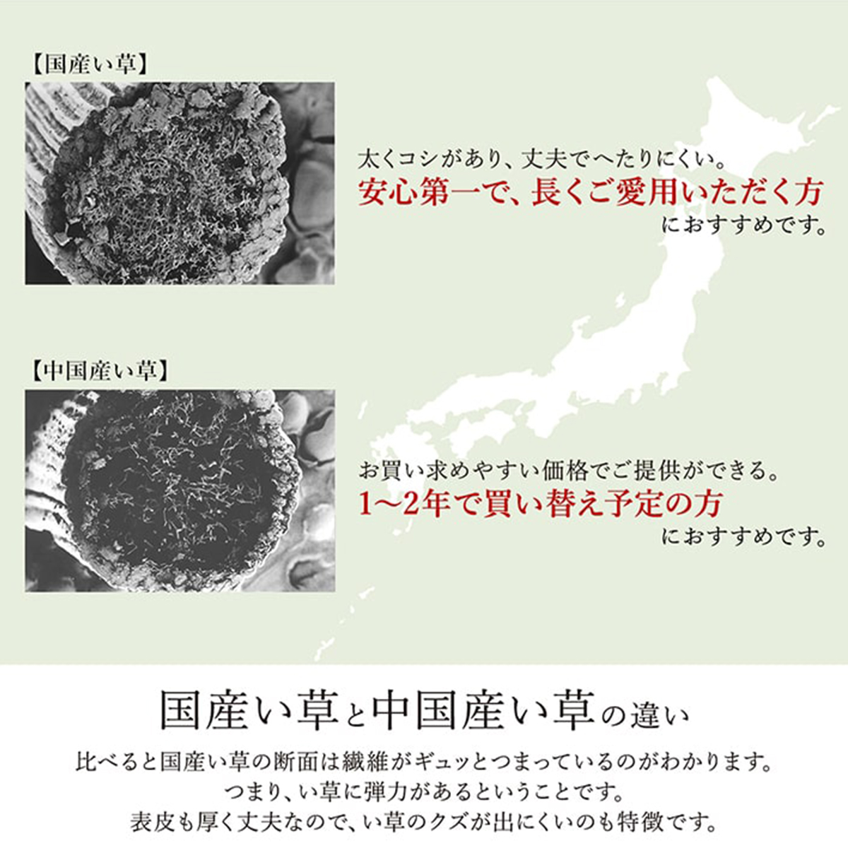 日本製 井草ラグ 夏用 正方形 【涼感冷感】 おしゃれ かわいい 北欧 モダン ラグ カーペット リビング インテリア | イケヒコ | 06