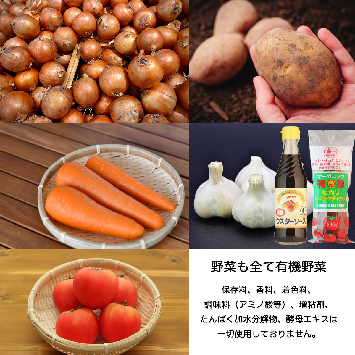 無添加 レトルトカレー 中辛 有機 4食セット 電子レンジ対応 こだわり 食品 オーガニック 子供 常温保存 ギフト ヒカリ食品 食料備蓄 | 光食品 | 02
