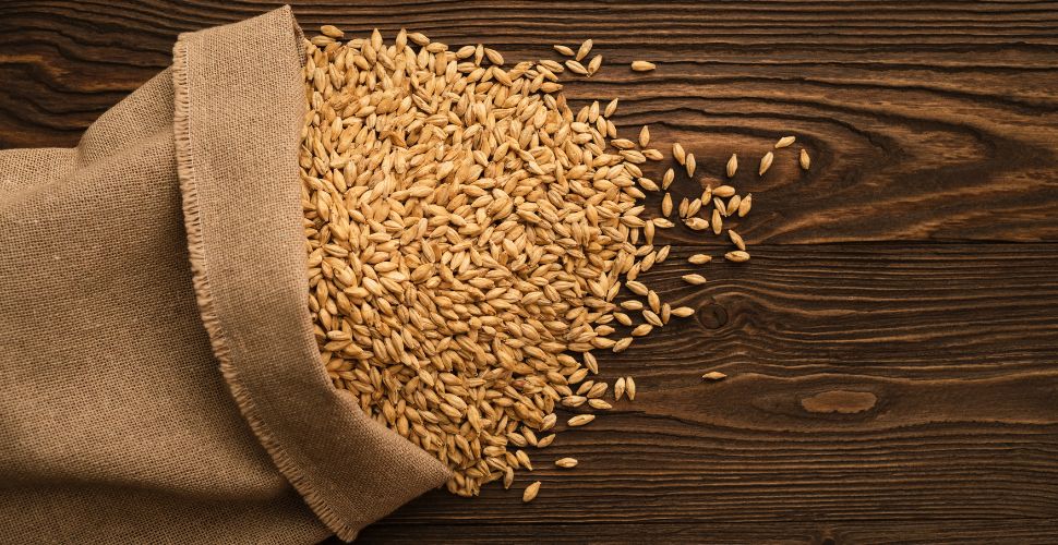 ブレンド285 ライフスタイル写真