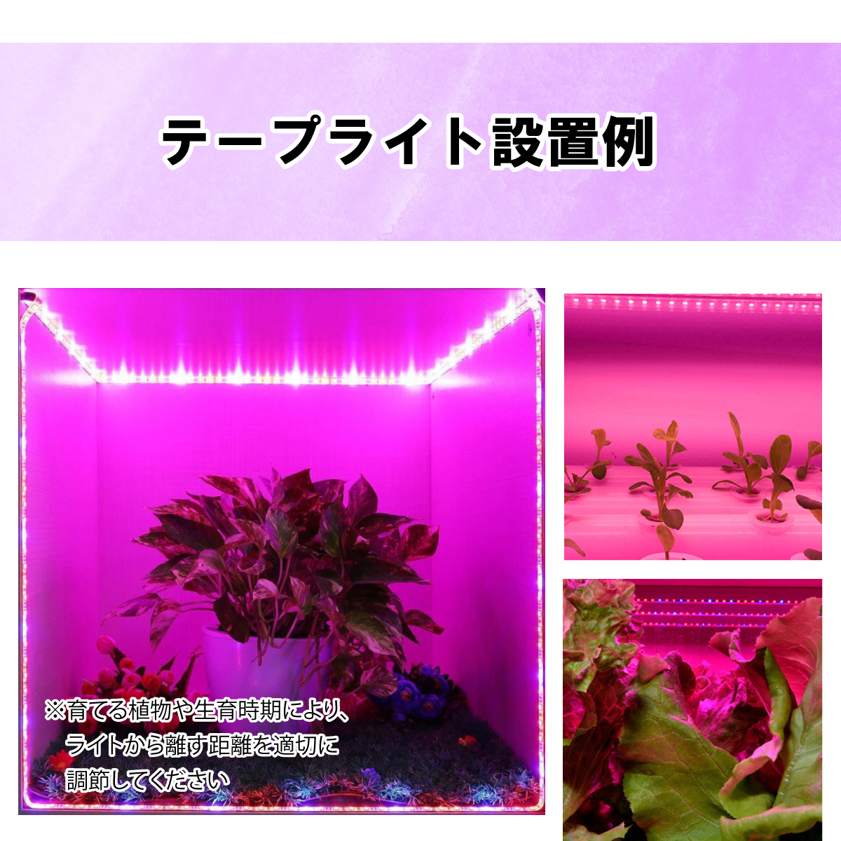植物育成ライト LED グローライト テープライト 2m USB給電 防水 5V