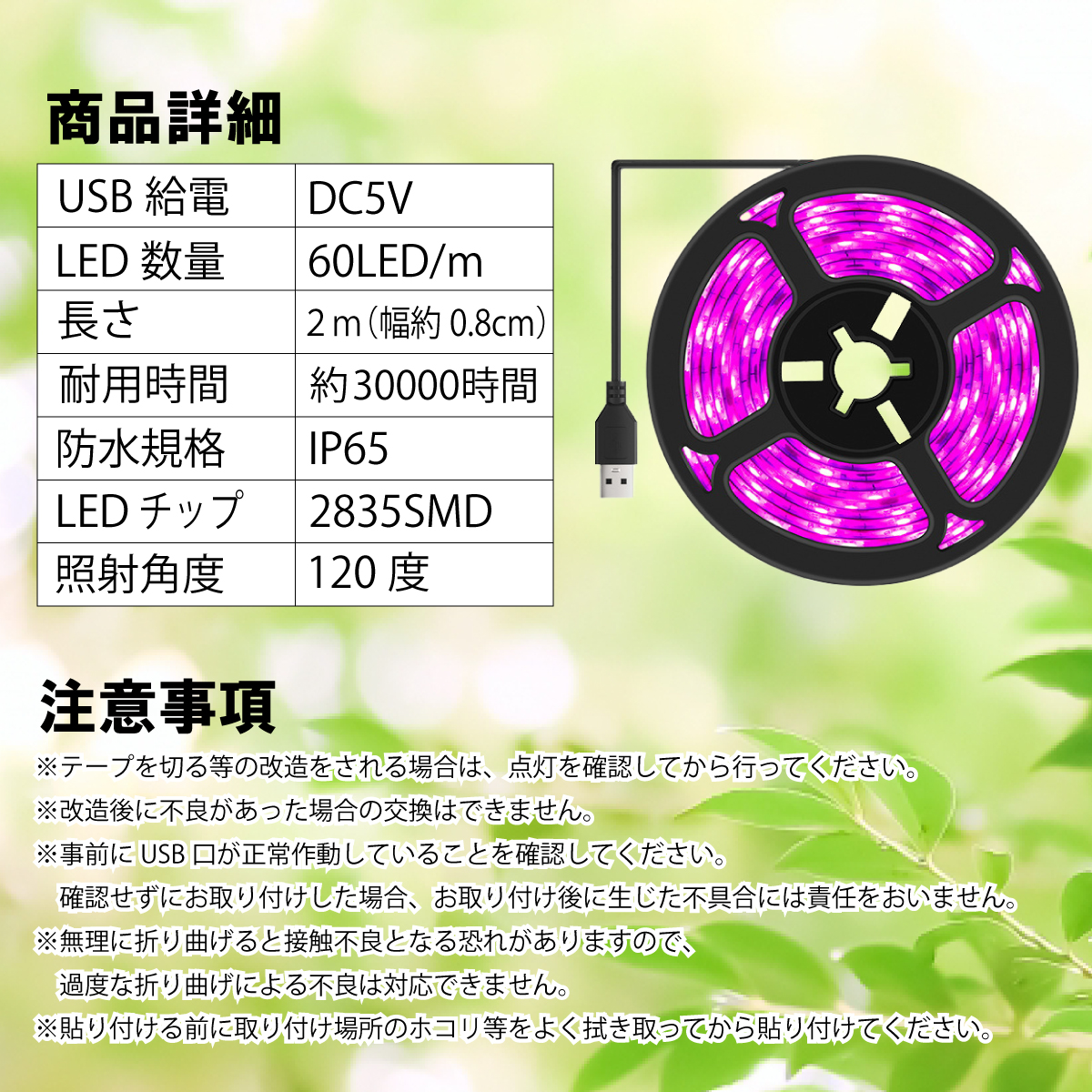 u-096_9.jpg