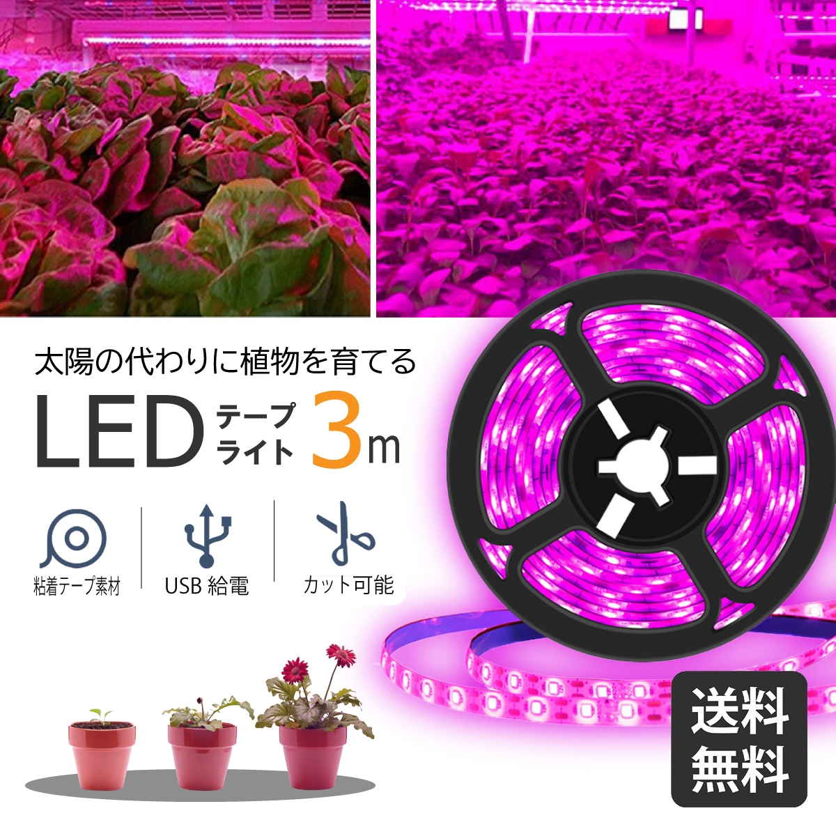 グローライト　植物栽培用LED 植物育成ライト led 2m 防水 usb対応 両面テープ 植物用ライト グロー