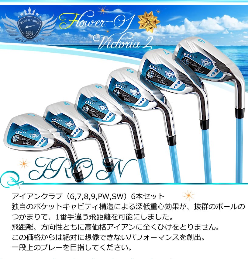 WORLD EAGLE アイアンセット ゴルフクラブ ワールドイーグル