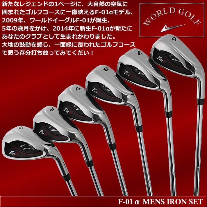 WORLD EAGLE アイアンセット ゴルフクラブ ワールドイーグル メンズ F