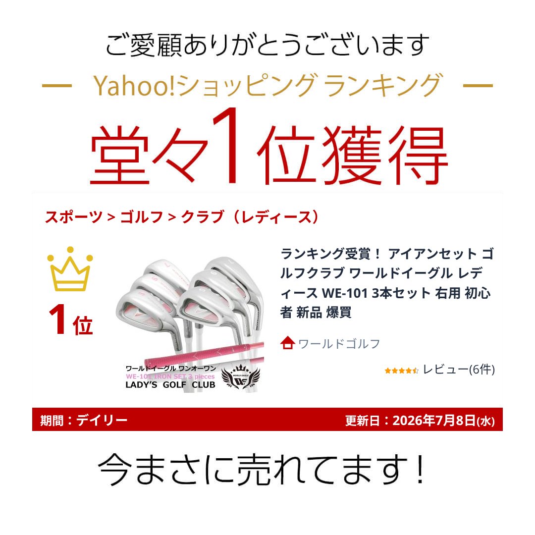 WORLD EAGLE ランキング受賞！ アイアンセット ゴルフクラブ ワールド