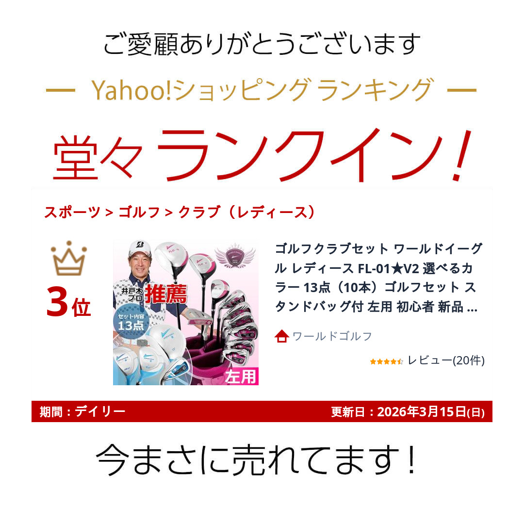 WORLD EAGLE ランキング受賞！ ゴルフクラブセット ワールドイーグル