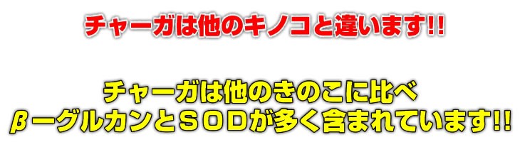 チャーガ 細胞壁破砕 4倍濃縮細粒 60包 和名カバノアナタケ 健康食品