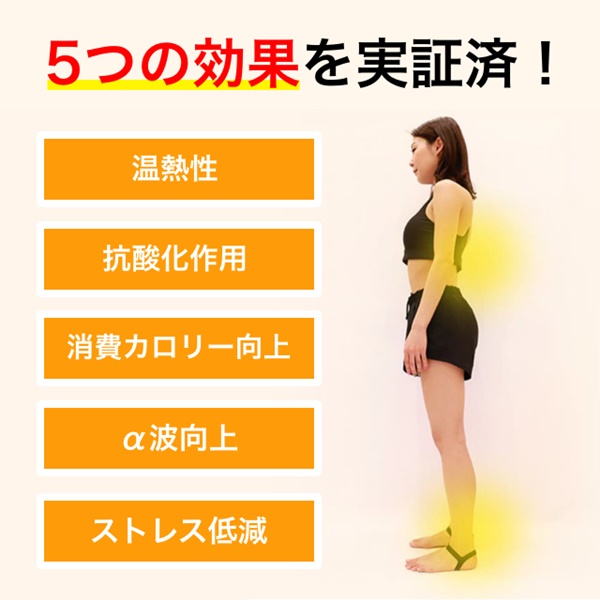 アンクルバンド 足首用 サポーター 両足用 スポーツ ウェア 補正 肩こり 腰痛 膝の痛み 男女兼用 左右兼用 日常用 ABAND