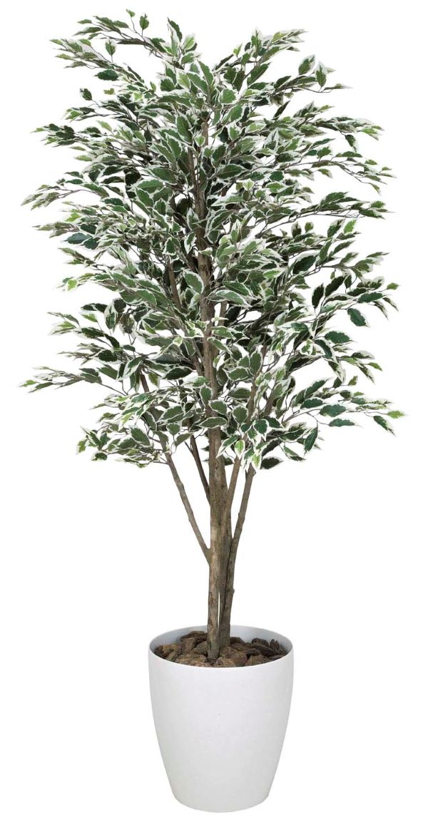 光触媒 人工観葉植物 フェイクグリーン トロピカルベンジャミン 1.8m-