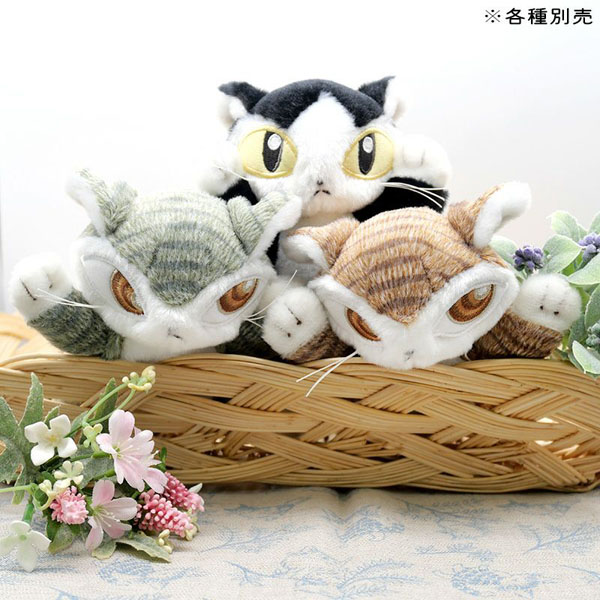 わちふぃーるど ダヤン ぬいぐるみ 48cm 3Lサイズ 670130 クタクタぬいぐるみ ジタン わちふぃーるどダヤン/ダヤン : わちふぃー