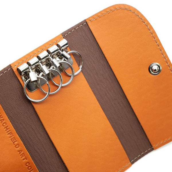 わちふぃーるど（WachiField） アートキーケース グアナ ダヤン ねこ