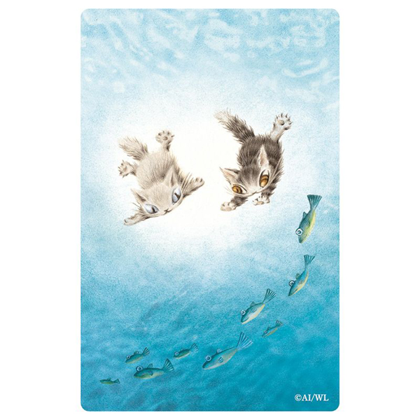 クリアしおり 海の中 わちふぃーるど ダヤン ネコグッズ : わちふぃー