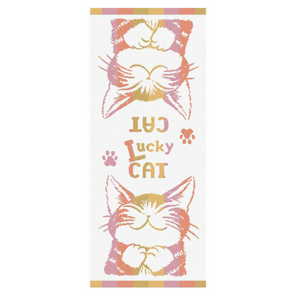 縞立てF／T うんのいいねこ わちふぃーるどダヤン ネコ : わちふぃー