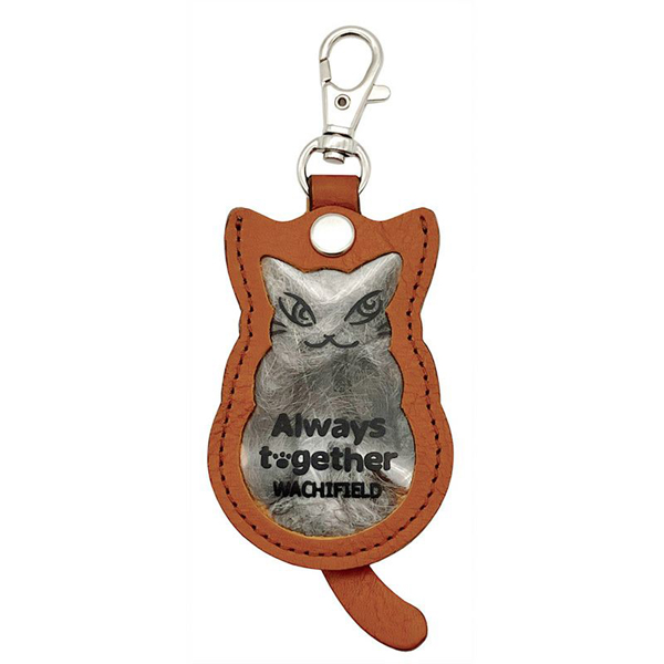 わちふぃーるど（WachiField） うちの子と一緒キー わちふぃーるど