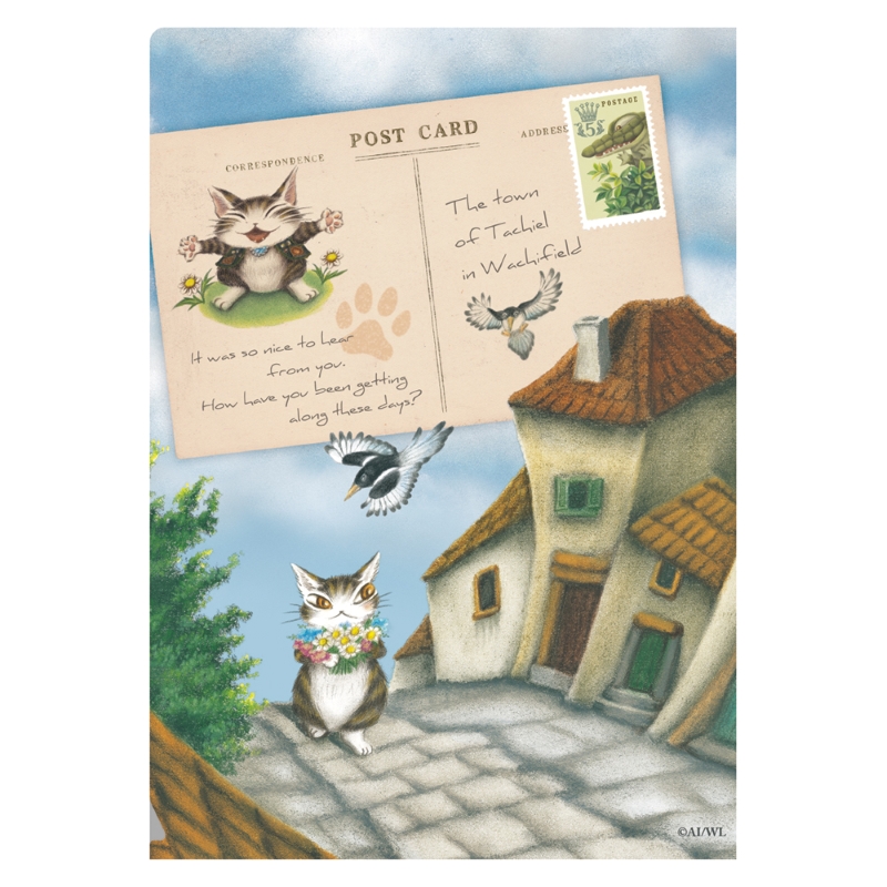 専用　Ａ５　クリアファイル　３ポケット　運のいいねこ　わちふぃーるど　ダヤン　猫 3ポケA5ファイル うんのいいねこ わちふぃーるどダヤン : わちふぃー