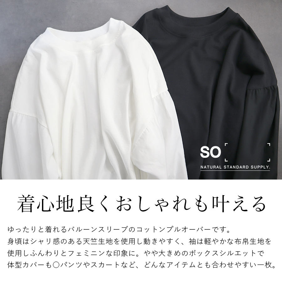 袖布帛切り替えプルオーバー SO エスオー コットン 袖布帛切り替えプルオーバー SO エスオー コットン : W Pocket