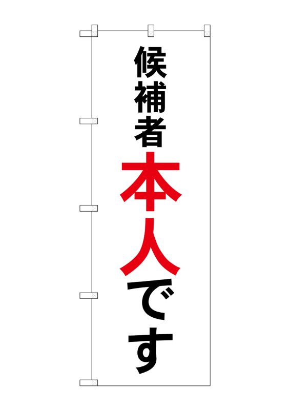 のぼり屋工房 ☆G_のぼり旗 GNB-1920 候補者本人です W600×H1800 ポンジ 集客 販促品｜wr-shop