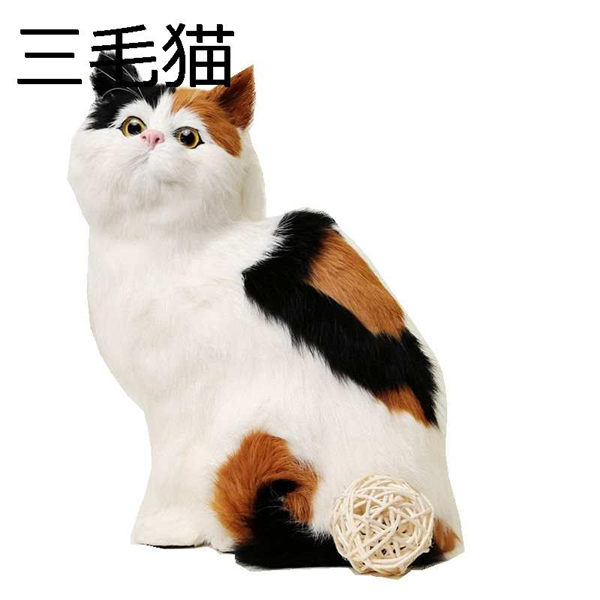 猫ぬいぐるみ 手作り 動物モデル リアル おきもの 三毛猫 かわいい ねこ 飾り 癒し系 可愛い おもちゃ 教育玩具 置物 保育園 贈り物 Rxgqc706b カナオンライン 通販 Yahoo ショッピング