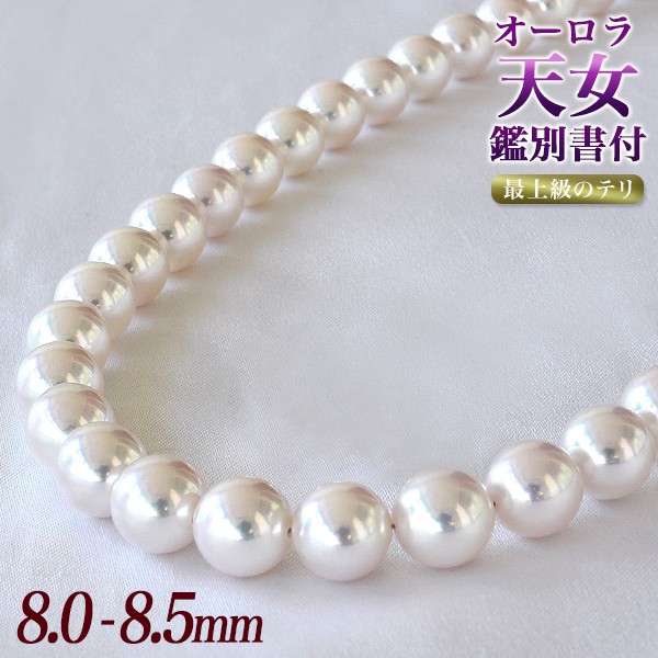 sd1_dd2ad6183108ddb0126203163d