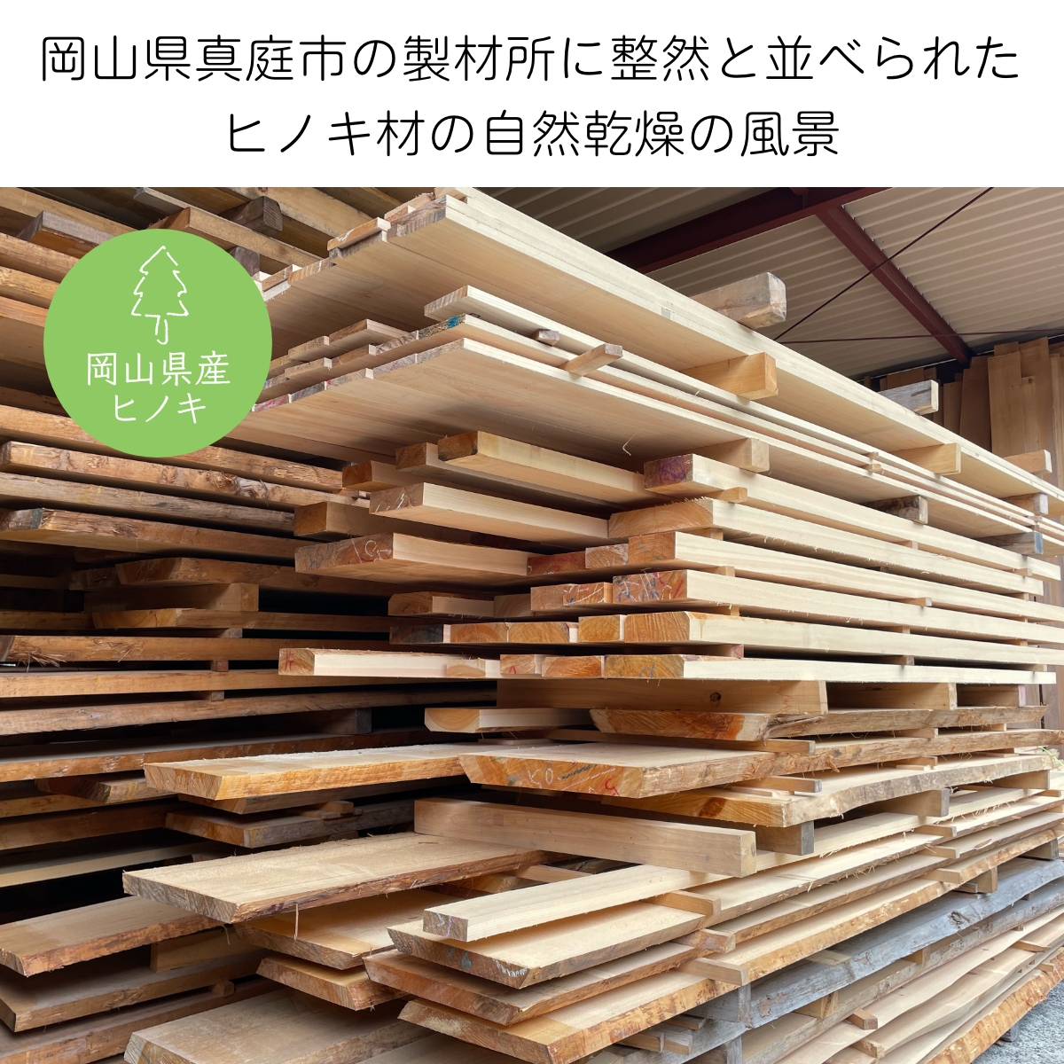 まな板 丸 木製 おしゃれ Sサイズ 抗菌 まないた 丸いまな板 ヒノキの丸まな板 自立 2cm 自立する 小さい 朝食 果物 野菜 カッティングボード 日本製 |  | 12
