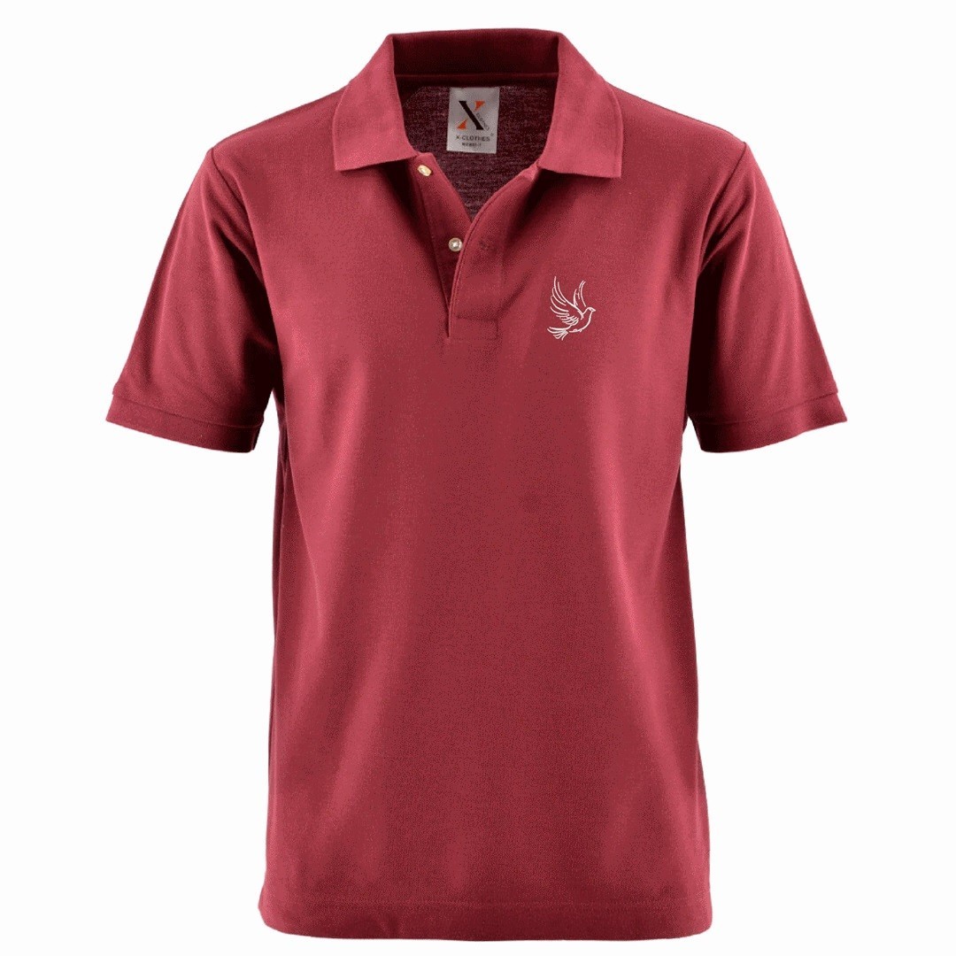 鳩 刺繍 メンズ ポロシャツ 半袖 服 グッズ ギター 得トク2WEEKs