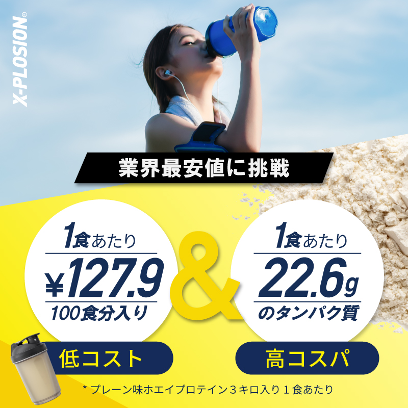 エクスプロージョン WPC 3kg チーズケー...の詳細画像5
