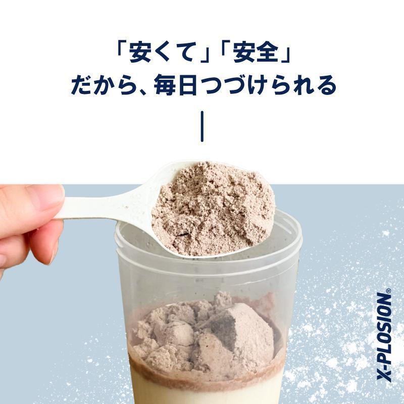 エクスプロージョン WPC 3kg ココナッツミルク味 100%ホエイプロテイン 大容量｜x-plosion｜17