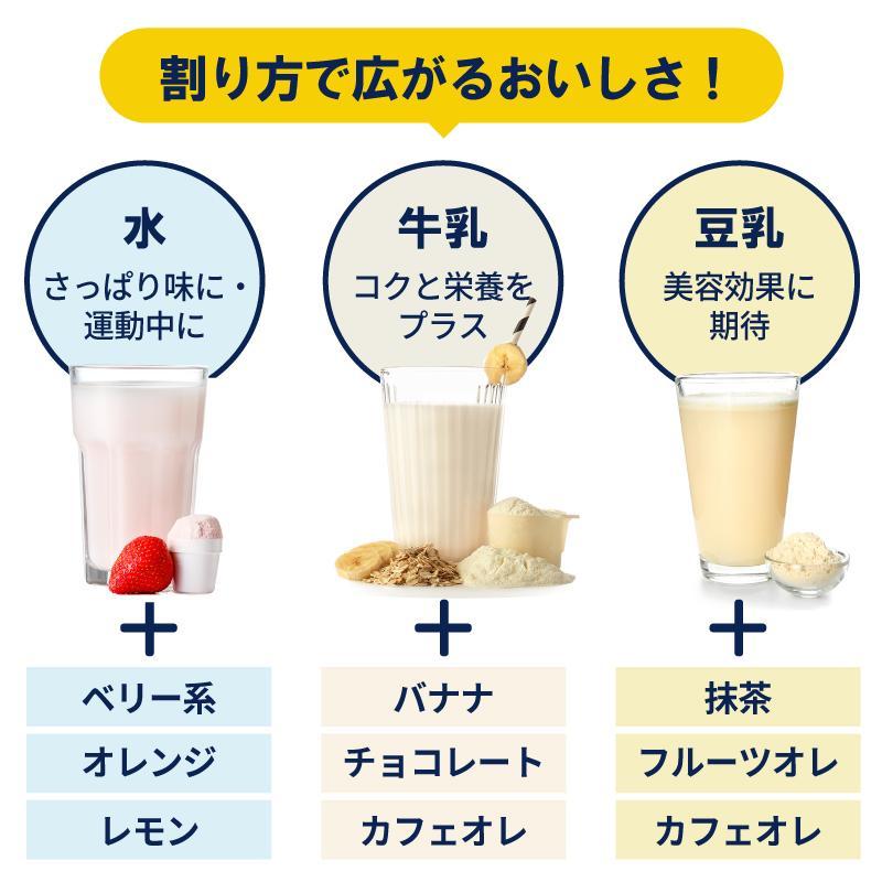 エクスプロージョン WPC 3kg ミルクチョコレート味 100%ホエイプロテイン 大容量｜x-plosion｜21