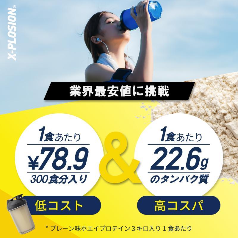 エクスプロージョン WPC 3kg ココナッツミルク味 100%ホエイプロテイン 大容量｜x-plosion｜06