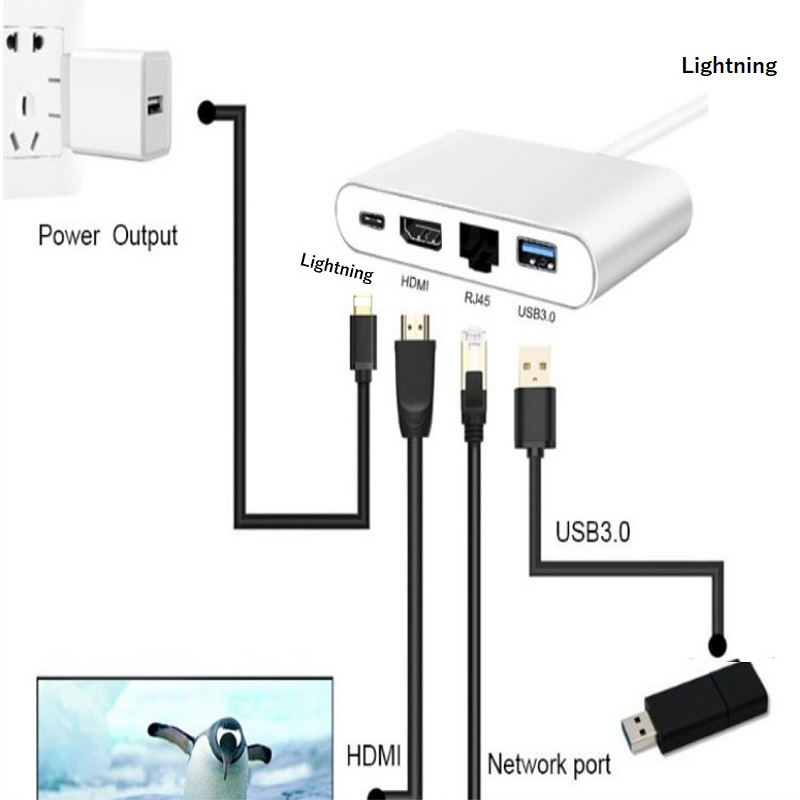 Lightning hdmi 有線LAN カメラデータ転送 OTG変換アダプタ