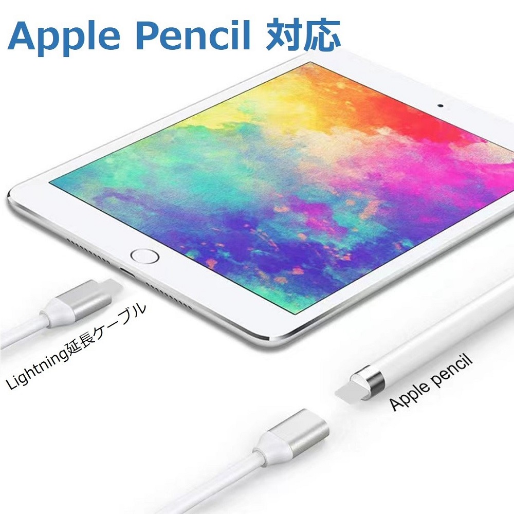 Apple Pencil 充電ケーブル